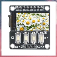 (E B M TFT IPS Screen LCD Display Module HD LCD Screen 0.96 Inch 240x240 128x128 128x160 80x160 ST77