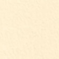 Tanto P-55 2.8 oz (81.4 g) Square Meter A4 Size 100 Sheets