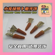 Pet snack Pet food Hamster Snack Molar Carrot Mini Carrot Pet Food Pet Snack 提摩西萝卜 萝卜磨牙饼小宠零食 仓鼠零食 宠物