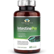 Teraputics IntestinePro 60 Vegetarian Capsules Gut Health Supplement Non-GMO Wormwood, Black Walnut,