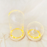 [SG Seller] Preserved Flower Dome Clear Glass Cloche Display Dome with LED Wooden Base