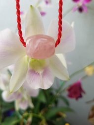 [HCM]Lu thống thạch anh hồng - xưởng buôn đá phong thủy Huỳnh Đào