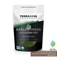Bột Nước Ép Cỏ Lúa Mạch (Đại Mạch) Hữu Cơ Terrasoul Superfoods Organic Barley Grass Juice Powder 141