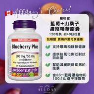 [現貨][包郵] 維柏健 Webber naturals 藍莓濃縮精華膠囊 Blueberry Plus  - 120粒 維持眼部健康