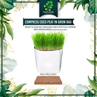 Coco Peat Compress Block with grow bag just add water to start growing today