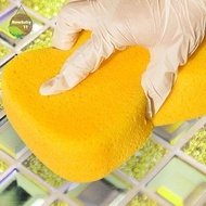NBBY sand beauty seam Floor cleaning sponge Wiper Special  Mosaic caulk wiper .