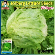 (Fast Growing 500pcs) High Yield Iceberg Lettuce Seeds Super Ball Variety Iceberg Lettuce Seeds Orga