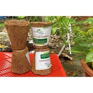 Coco Peat Pot - 10 pcs