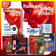 Book Map Human Body HUMEN ANATOMY/Yoga/Exercise/System/BK03 set 5