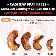 LARGEST Vietnam Roasted Cashew Nut with Skin/ Buah Gajus berkulit Panggang  / [W180] 越南带衣腰豆 500g