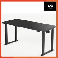 Ergonomic Dual Motor Adjustable Desk Standing Desk Gaming Desk Computer Desk 180X80cm Black Colour