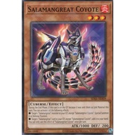[ Genuine Yugioh Card ] SDSS-AE009 Salamangreat Coyote - Common