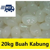 20KG Buah Nau whole tin preserved buah nau buahnau buah nao buah kabung buah laicikang lai ci kang n