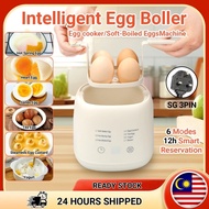 Electric Egg Boiler Egg Cooker 200W 4 Egg Boiler Capacity Automatic Quickly Cooked Multifunctional E