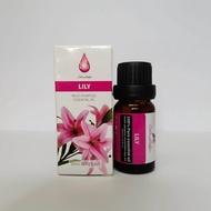 Essential Oil Aromatherapy Humidifier Fragrance Olis Diffuser Aromaterapi Pengharum Ruangan Pewangi 