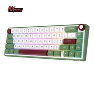 RK Royal Kludge R65 66 Keys Portable Mechanical Keyboard Hot Swapple Custom Gaming Keyboard with Vol