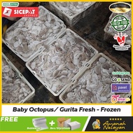 Baby Gurita Segar 1kg/Gurita Kecil Segar/Baby Octopus Fresh/Gurita