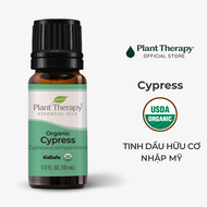 Tinh dầu hữu cơ Trắc Bách Diệp (Cypress) Plant Therapy - Organic kidsafe essential oil