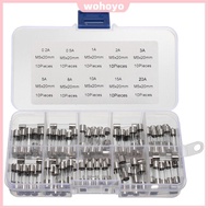[New] 100Pcs Glass Tube Fuse Assorted Kit 5 * 20MM Fast-blow Glass Tube Fuse 250V Fast Acting Glass 