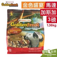 缺《寵物鳥世界》美國Goldenfeast金色盛宴 馬達加斯加3lb/1.36kg│中大/大型鳥 鸚鵡鳥飼料 BS140