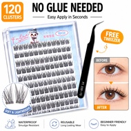 Glue Free Cluster Lashes No Glue DIY Eyelash Extensions Natural Look with Free Tweezers