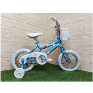 12" Girl Bike Buena Vista