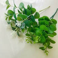 Eucalyptus Leaf Daun Eucalyptus Daun Hiasan Decoration Leaf