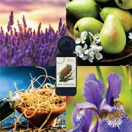 MKE PARFUM 30ML DHI EXCLUSIVE EDITION EDP PERFUME