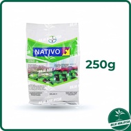 Nativo Trifloxystrobin 25% + Tebuconazole 50% Bayer Racun Kulat Fungicide 250G