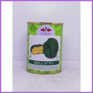 ❏ ◪ ✔ BELLA F1 50 grams (calabaza) East West Seeds