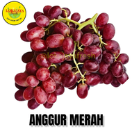 buah anggur merah segar 1 kg