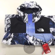 Supreme X The North Face Mountain Parka