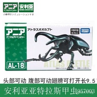 [925hot]TOMICA Anlia Simulation Wild Insect Model Atlas Beetle Insect Toy Boy Ornament diecast  KO3I