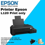 Printer L120 print only SECOND Epson Printer