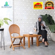 Plastic Folding Chair - Plastic Chair - TERAS Chair - OFC - OLYMPLAST