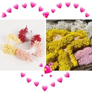[ HCM-Q8 ] (1 bunch) Pistils for decoration, Ingredients for apricot and peach blossoms to decorate 