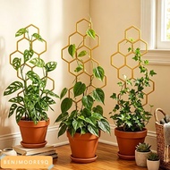 BENJMOORE9Q Garden Climbing Frame, Honeycomb Design Rustproof Plant Trellis,  Support for Potted Vin