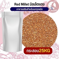 Red Millet มิลเล็ตแดง อาหารนก กระต่าย หนู กระต่าย กระรอก ชูก้า และสัตว์ฟันแทะ สินค้าใหม่ทุกกระสอบ (กระสอบ 25KG)