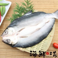 【海鮮主義】 整尾無刺虱目魚6尾(450g/尾)(加贈虱目魚肚2片)