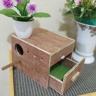 Nestbox / nestbox burung baji / nestbox baji / kotak sarang telur burung baji / budgie nestbox