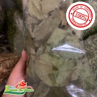 Dry LEAF BAY LEAF XIANG YE XIANGYE LEAF