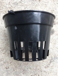 COMBO 50 CÁI CHẬU NHỰA TRỒNG LAN F14  - MAI HUY SINCE 2008