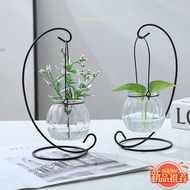 Taoyuan Fast Creative Desktop Hydroponic Glass Vase Solid Wood Flower Stand Green Dill Pot Container