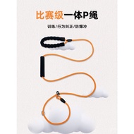 Dedicated Small Dogs Explosion-Proof Puppies Puppies Walking Dogs P Chain Integrated Training Teddy 