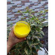 Kem Ủ Tóc Collagen Men Sống 1000ml Thanh Lorel Phục Hồi Tóc Hư Tổn Siêu Mượt