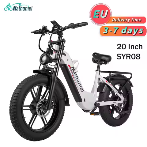 Nathaniel SYR08 2000W Dual Motor E-Bike,20*4.0 Fat Tire,20AH Detachable battery,Speed 50+,Daily comm