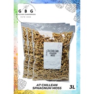 7A Chilean Sphagnum Moss [3L] / Premium Quality / Imported / Washed / Growing Medium