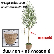 ต้นโอลีฟ ต้นมะกอกปลอม ลำต้นสีน้ำตาลเหมือนของจริง พืชจำลอง ยากที่จะบอกจริงจากเท็จ 120/150/180cm