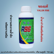 Yalun R96 น้ำยาขจัดสนิมสำหรับหินอ่อน ขจัดคราบน้ำ คราบเหลือง สิ่งสกปรกและสนิม