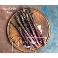 *Rare* Purple Asparagus Seeds - 5 Seed *Pot Friendly* Tanam Pasu Panjang, 紫芦笋 - Mango Garden